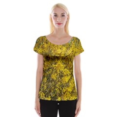 Nature, Yellow Orange Tree Photography Women s Cap Sleeve Top