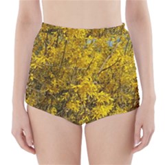 Nature, Yellow Orange Tree Photography High-waisted Bikini Bottoms by yoursparklingshop