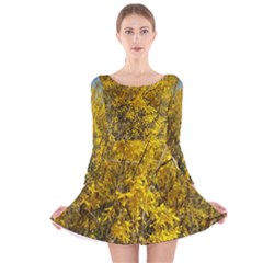 Nature, Yellow Orange Tree Photography Long Sleeve Velvet Skater Dress