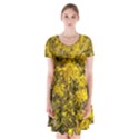 Nature, Yellow Orange Tree Photography Short Sleeve V-neck Flare Dress View1