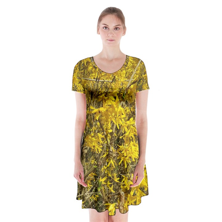 Nature, Yellow Orange Tree Photography Short Sleeve V-neck Flare Dress