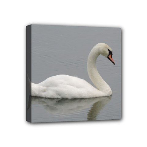 Swimming White Swan Mini Canvas 4  X 4 