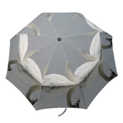 Swimming White Swan Folding Umbrellas