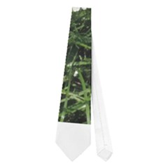 Wild Daisy Summer Flowers Neckties (one Side)  by picsaspassion