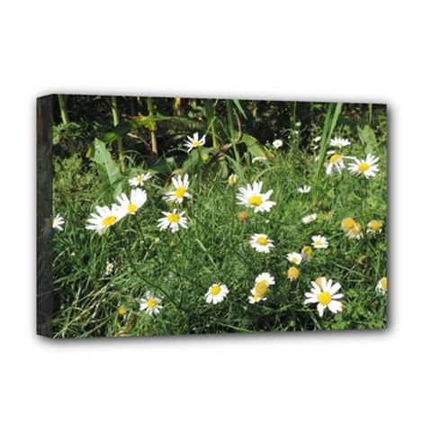 Wild Daisy Summer Flowers Deluxe Canvas 18  X 12  