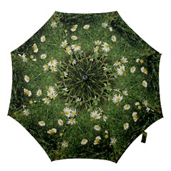 Wild Daisy Summer Flowers Hook Handle Umbrellas (large) by picsaspassion