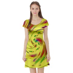 Leaf And Rainbows In The Wind Short Sleeve Skater Dress