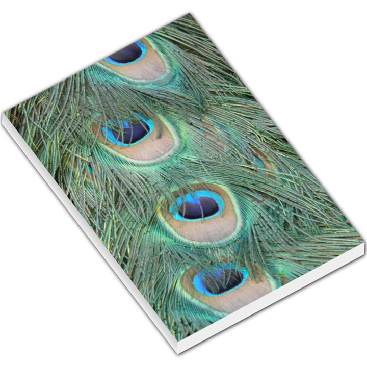 Peacock Feathers Macro Large Memo Pads