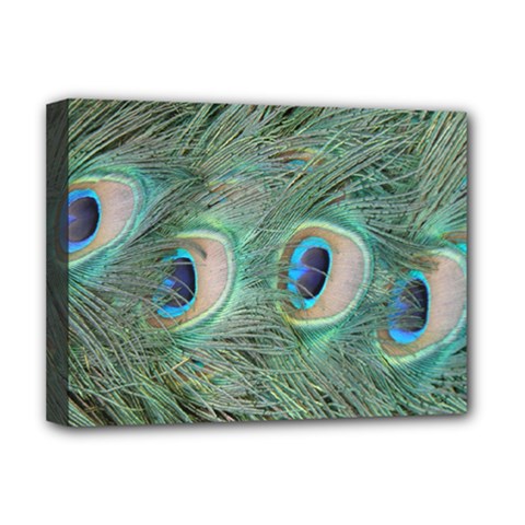 Peacock Feathers Macro Deluxe Canvas 16  X 12  