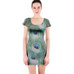 Peacock Feathers Macro Short Sleeve Bodycon Dress