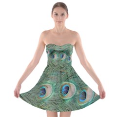 Peacock Feathers Macro Strapless Bra Top Dress