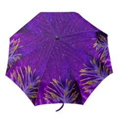  Igp4974 Irisclv Folding Umbrellas