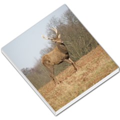 Red Deer Stag on a Hill Small Memo Pads