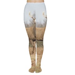 Red Deer Stag on a Hill Women s Tights