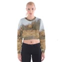 Red Deer Stag on a Hill Women s Cropped Sweatshirt View1