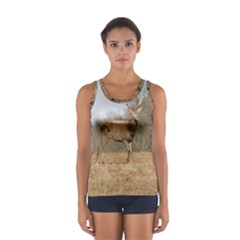 Red Deer Stag On A Hill Women s Sport Tank Top 