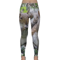 Gray Squirrel Eating Sycamore Seed Yoga Leggings  by GiftsbyNature