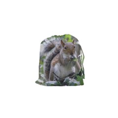 Gray Squirrel Eating Sycamore Seed Drawstring Pouches (xs) 