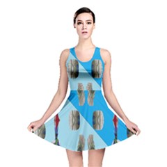 Imagesf4rf4olik Reversible Skater Dress