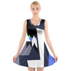 Glacier V-neck Sleeveless Skater Dress