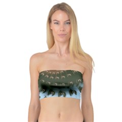 Sun-ray Swirl Design Bandeau Top