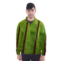 Ensete Leaf Wind Breaker (men) by picsaspassion