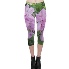 Purple Rhododendron Flower Capri Leggings  by picsaspassion