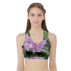 Purple Rhododendron Flower Sports Bra With Border by picsaspassion