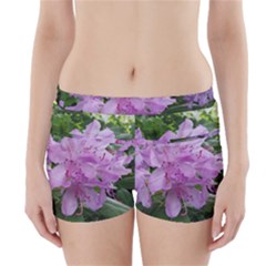 Purple Rhododendron Flower Boyleg Bikini Wrap Bottoms by picsaspassion