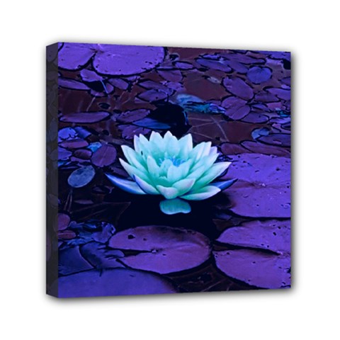 Lotus Flower Magical Colors Purple Blue Turquoise Mini Canvas 6  x 6 