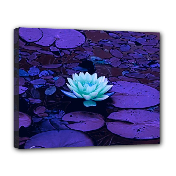 Lotus Flower Magical Colors Purple Blue Turquoise Canvas 14  x 11 