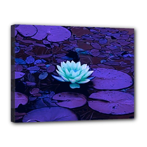 Lotus Flower Magical Colors Purple Blue Turquoise Canvas 16  X 12  by yoursparklingshop