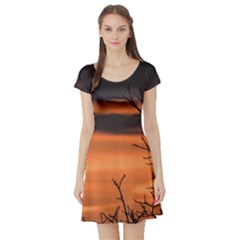 Tree Branches And Sunset Short Sleeve Skater Dress by picsaspassion