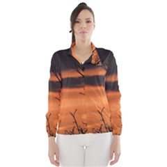 Tree Branches And Sunset Wind Breaker (women) by picsaspassion