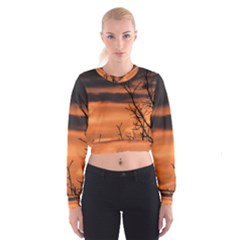 Tree Branches And Sunset Women s Cropped Sweatshirt by picsaspassion