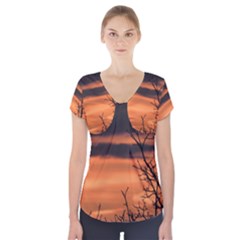 Tree Branches And Sunset Short Sleeve Front Detail Top