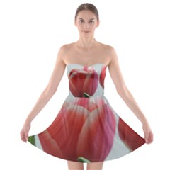 Red - White Tulip Flower Strapless Bra Top Dress