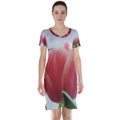 Red Tulips Short Sleeve Nightdress by picsaspassion