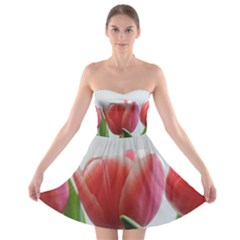 Red Tulips Strapless Bra Top Dress