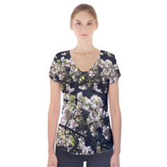 Blooming Japanese Cherry Flowers Short Sleeve Front Detail Top