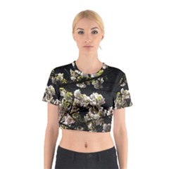 Japanese Cherry Flower Cotton Crop Top