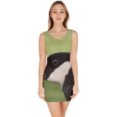 Goose Bird In Nature Sleeveless Bodycon Dress by picsaspassion