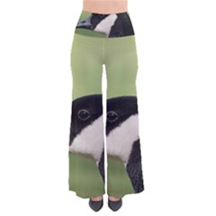 Goose Bird In Nature Pants by picsaspassion