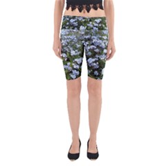 Blue Forget-me-not Flowers Yoga Cropped Leggings