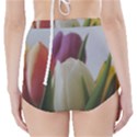 Colored by Tulips High-Waisted Bikini Bottoms View2