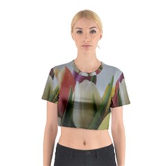 Colored By Tulips Cotton Crop Top