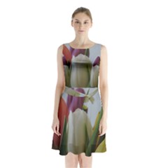 Colored By Tulips Sleeveless Chiffon Waist Tie Dress