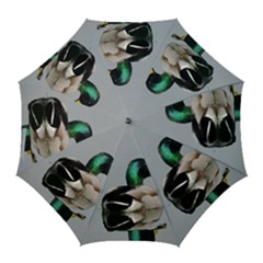 Swimming Duck Golf Umbrellas by picsaspassion