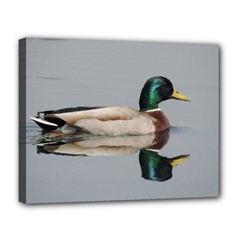 Wild Duck Swimming In Lake Canvas 14  X 11  by picsaspassion