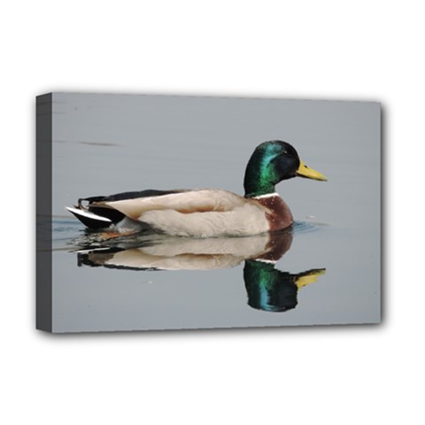 Wild Duck Swimming In Lake Deluxe Canvas 18  X 12   by picsaspassion